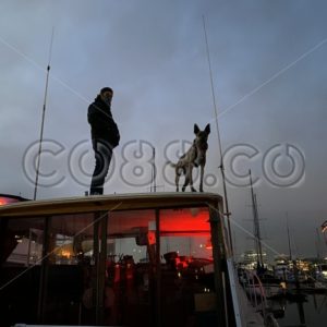 Dusk in the Marina – Man with his Dog on a Boat during Twilight - CO88.co