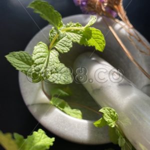 Traditional Alternative Medicine at Home: Fresh Mint & Dried Lavender with Marble Mortar and Pestle - CO88.co