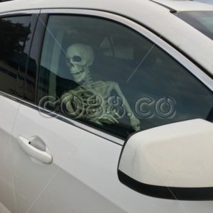 An impatiently waiting Skeleton sitting in a white, parked Car and tapping with its Fingertips - CO88.co