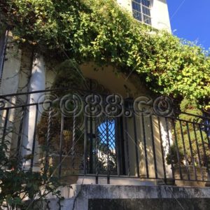 Elevated Gorgeous San Francisco House Entry on Russian Hill with lots of Ivy growing around it - CO88.co