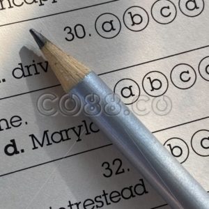 Multiple Choice Question Standardized English Test Practice for 6th Grade with grey colored Pencil Close-up - CO88.co