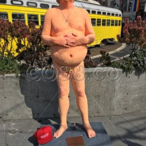 ‘The Emperor Has No Balls’, San Francisco’s Version of the Naked Donald Trump Statue in the Castro - CO88.co