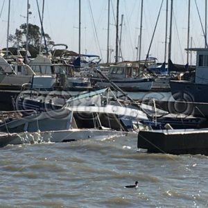 Brave Little Duck passing two Sinking Vessels, a Chris Craft Motor Yacht and a Marine Blue Sailboat - CO88.co