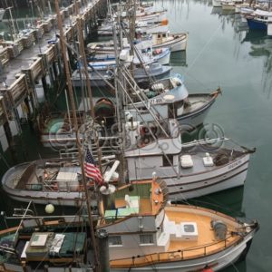 Fleet of colorful small Fishing Boats docked around Pier 39 on San Francisco’s Fisherman’s Wharf - CO88.co