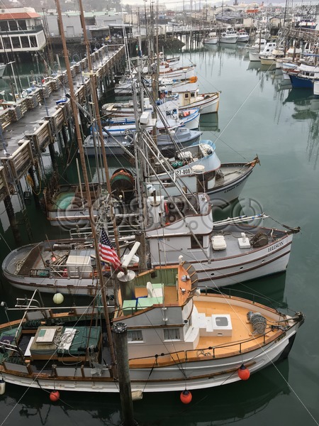 Fleet of colorful small Fishing Boats docked around Pier 39 on San Francisco’s Fisherman’s Wharf - CO88.co