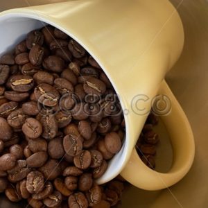 Lightly Roasted Espresso Beans Spilled from Yellow Ceramic Coffee Cup on Stainless Steel Background - CO88.co