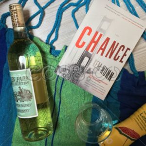 Relaxing in Hammock reading a Psychological Suspense Novel & sipping Decent California Wine Flat Lay - CO88.co