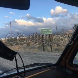 Road Trip to the Joshua Tree National Park during a Pandemic with Mask hanging on Camper Back Mirror - CO88.co