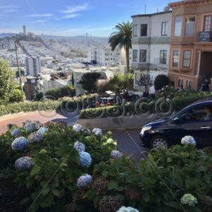 The Crooked Part of Lombard Street with North Beach, Telegraph Hill & Coit Tower in the Background - CO88.co