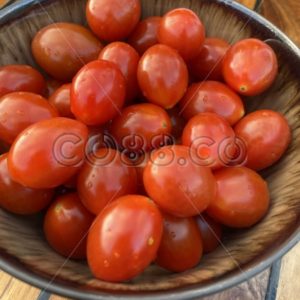 Freshly Washed Ripe Organic Grape Tomatoes in Japanese Ceramic Soup Bowl on varnished Teak Boat Deck - CO88.co