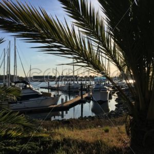 Romantic tiny, hidden Marina behind Palm Trees in the Produce and Waterfront Neighborhood in Oakland - CO88.co