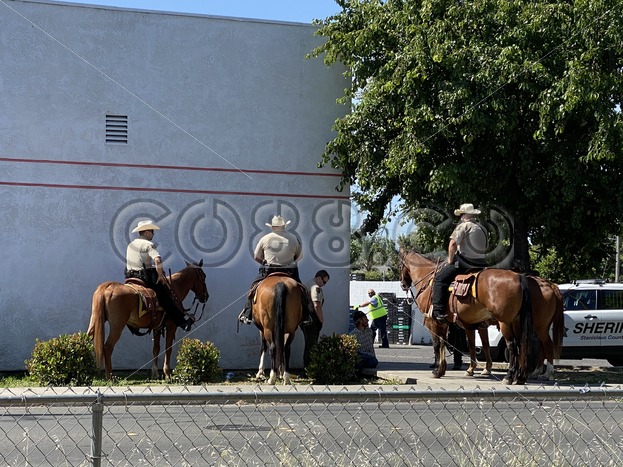 Stanislaus County Sheriff’s Department‘s Mounted Unit in Action performing High Visibility Patrols - CO88.co